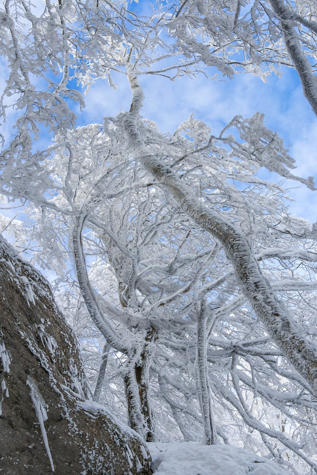 ENS de l'Isère, Les Ecouges
