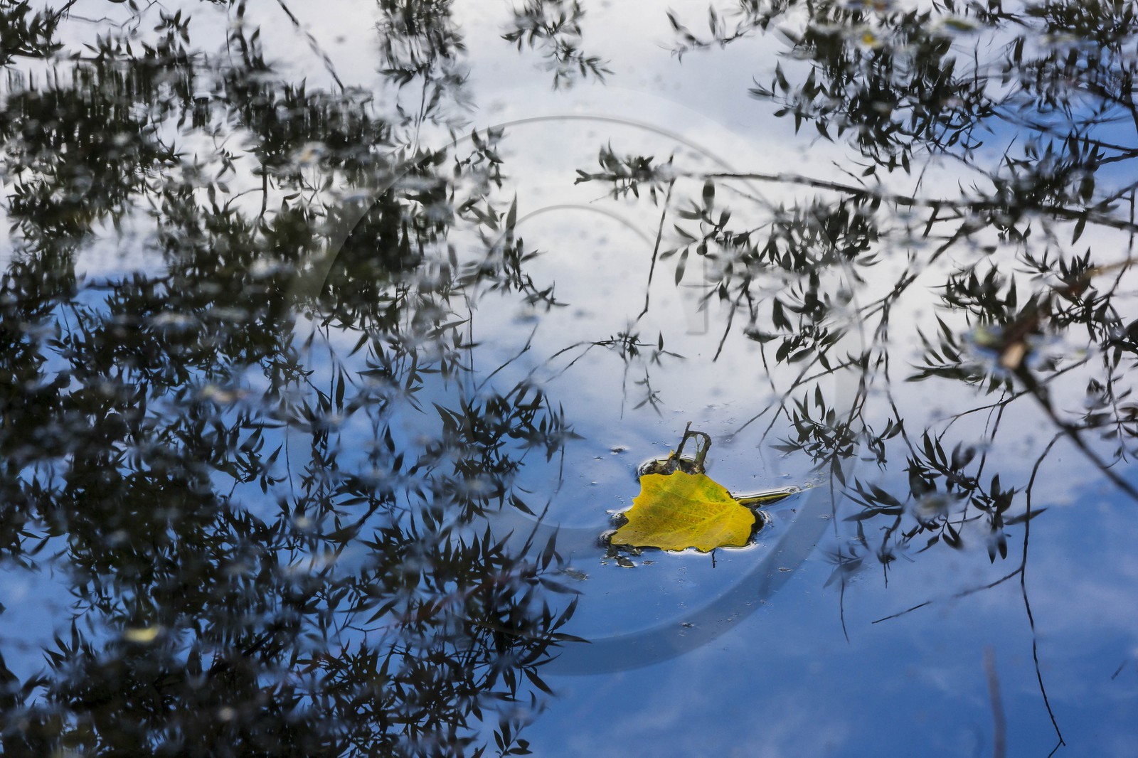 ENS de l'Isère, Boucle de la Taillat