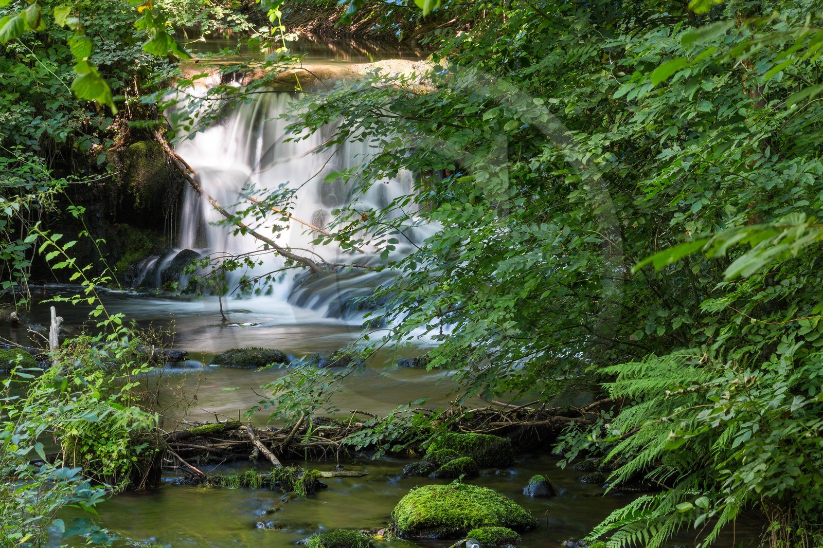 ENS de l'Isère, étang de Cote Manin