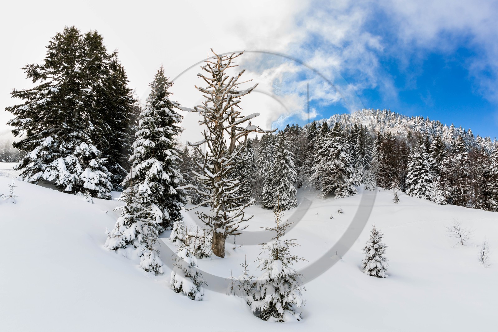 Espace naturel sensible de l'Isère, Col du Coq