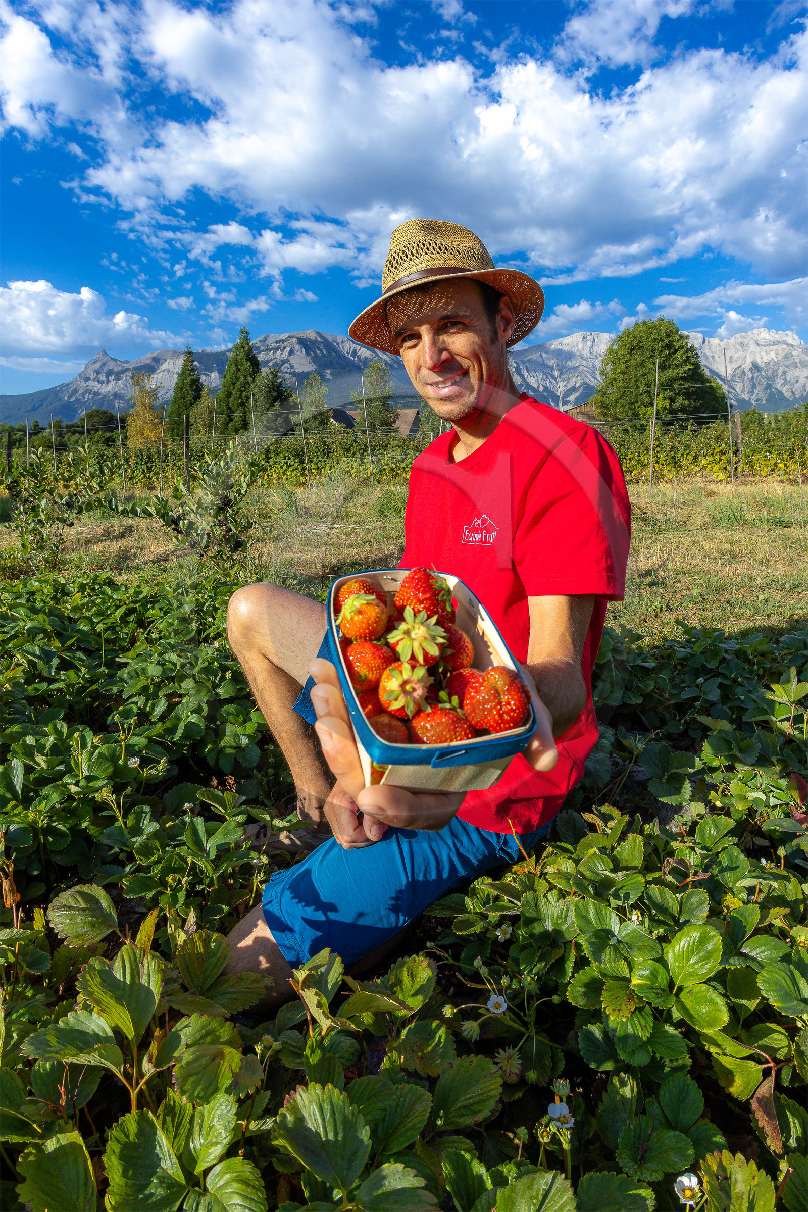 Ecrins de fruits, producteur de fruits rouges