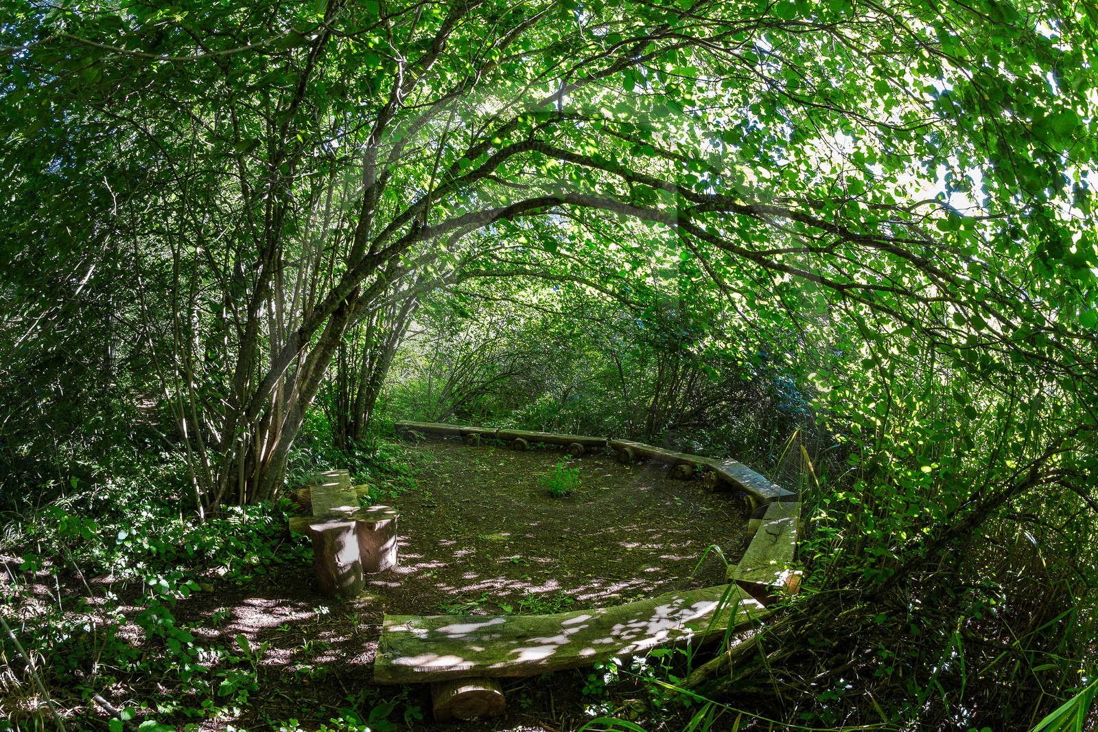 ENS de l'Isère, Marais des Sagnes