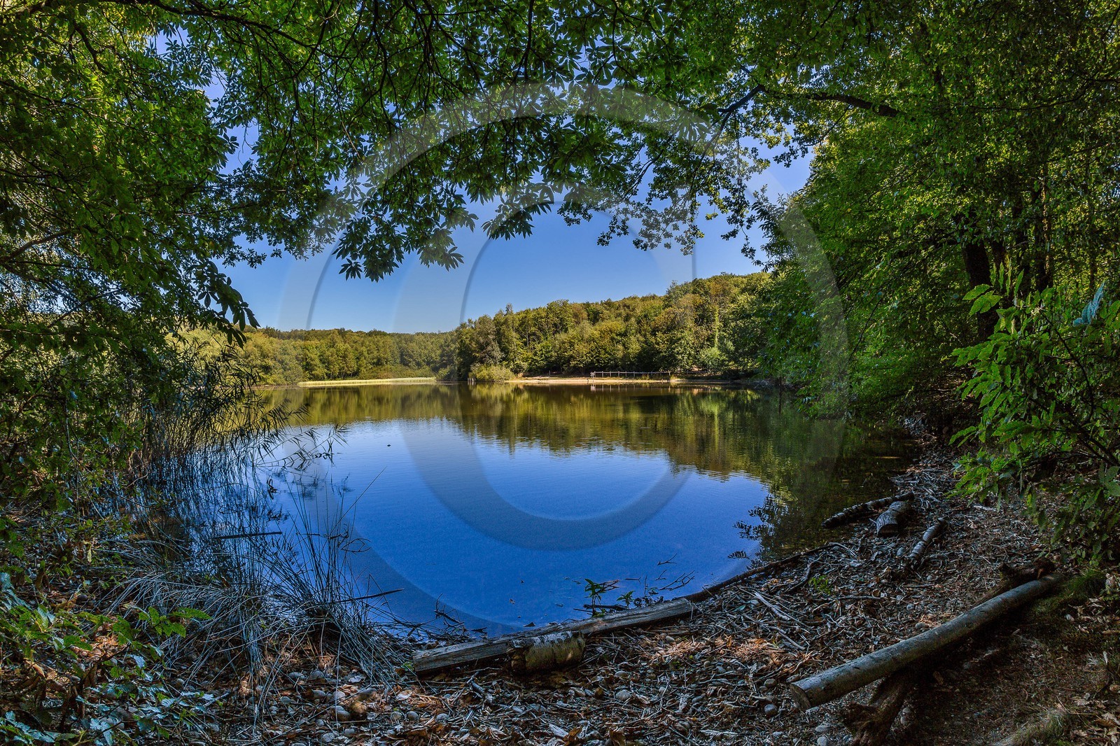ENS de l'Isère, Etang des Béroudières