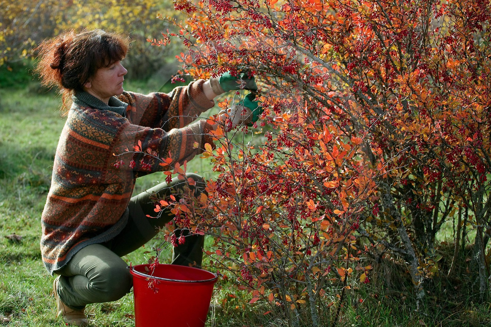 Les jardins des hautes terres de Anne Robichon