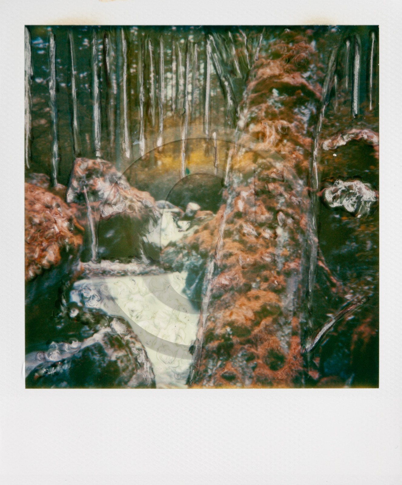 Exposition Arbres et petites forêts, éloge de la biodiversité