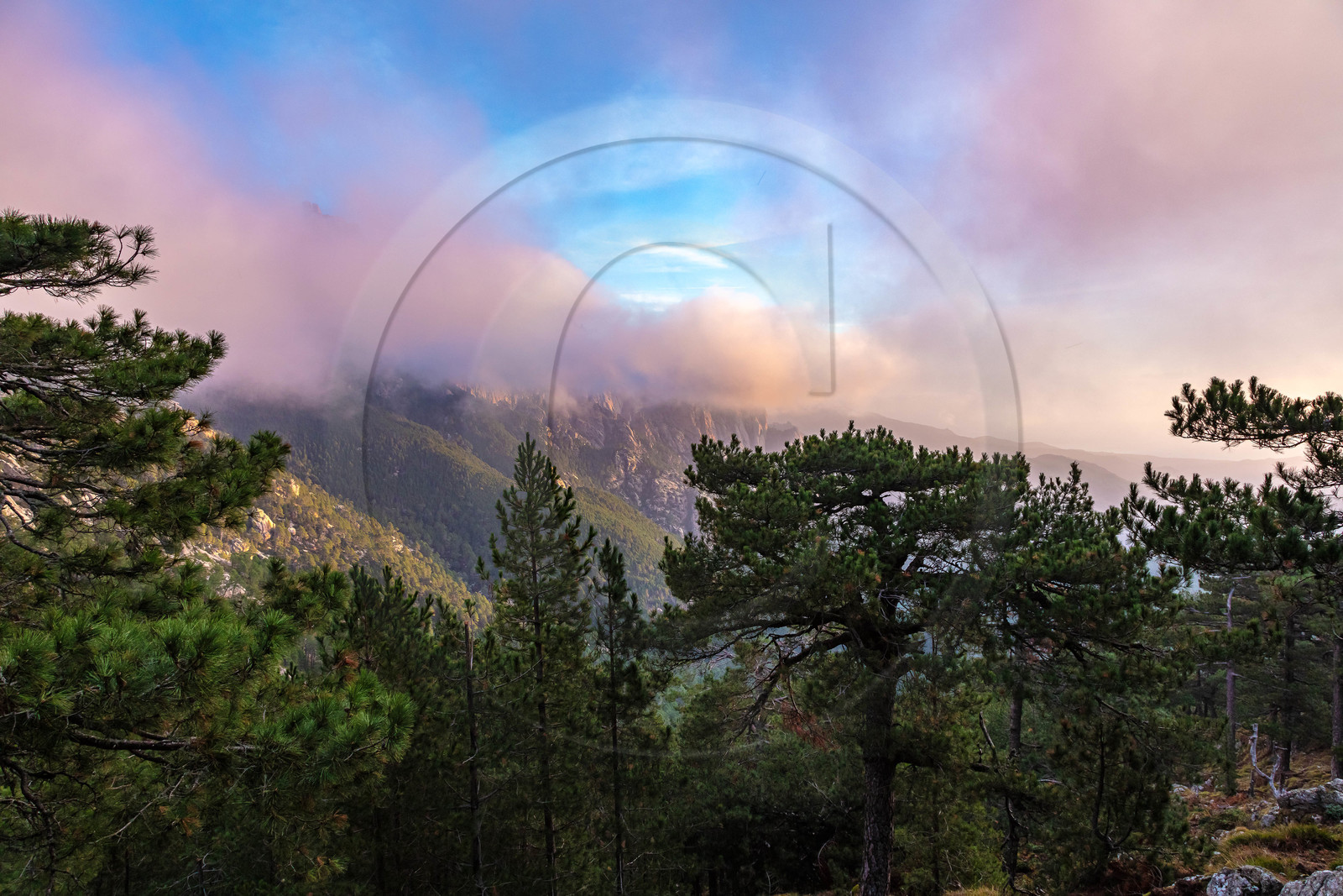 Les Aiguilles de Bavella (forchi di Bavedda )
