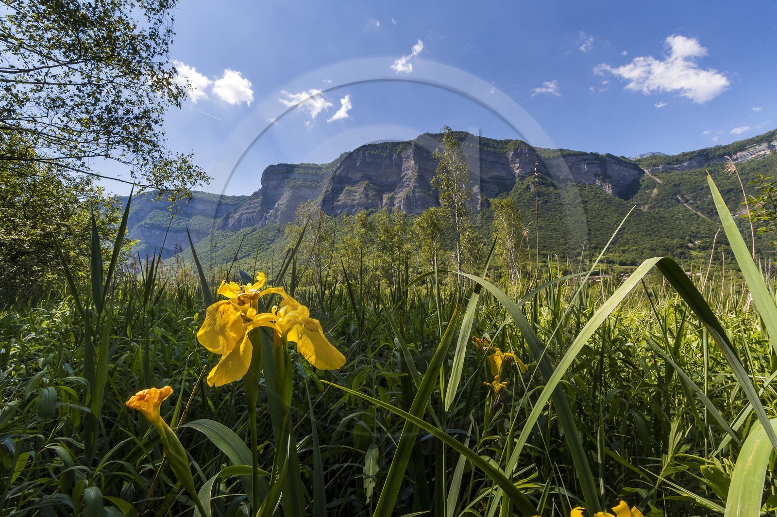 ENS de l'Isère, Marais de Montfort