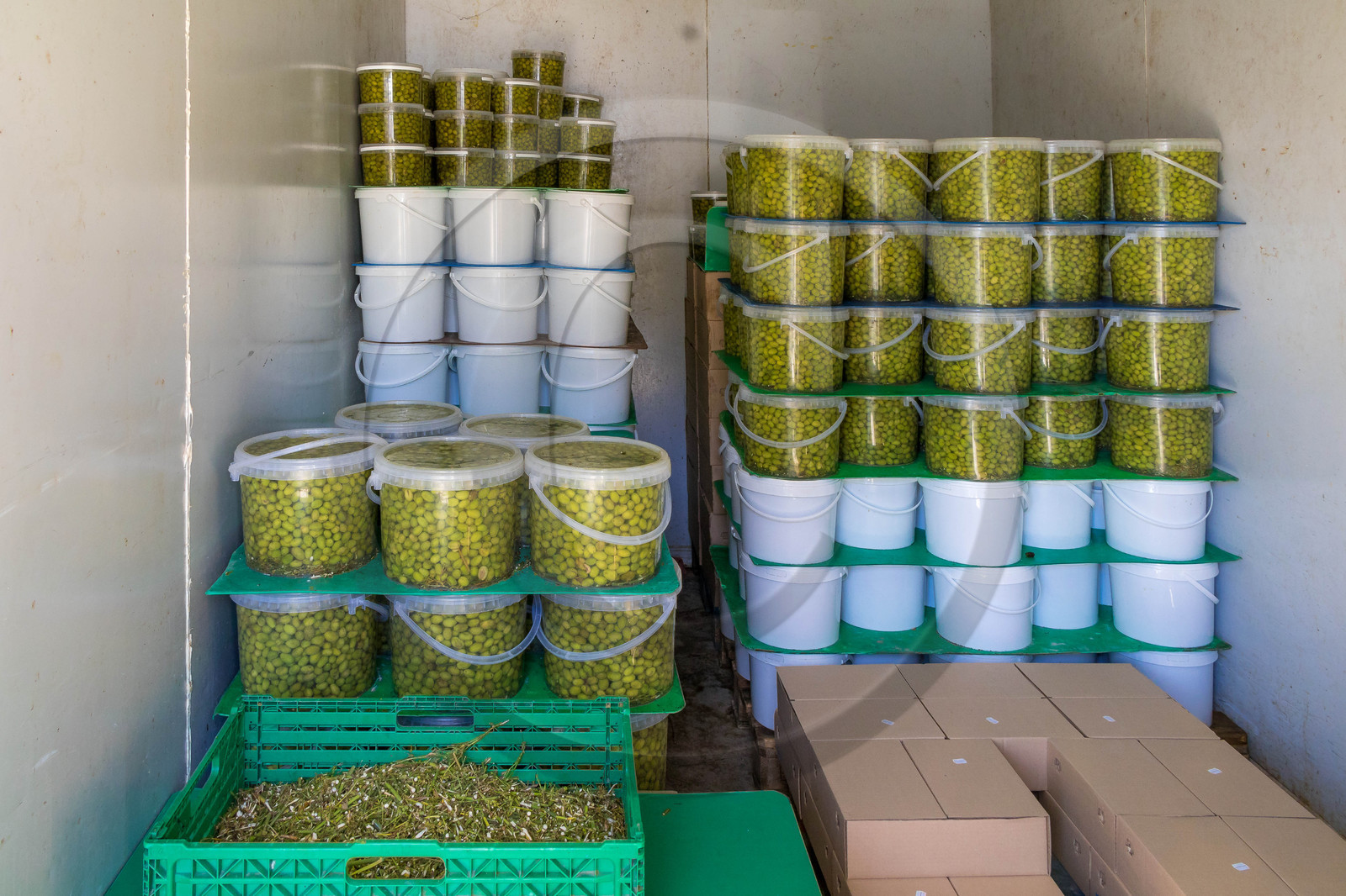 Le verger des Baux, Olivier Roman