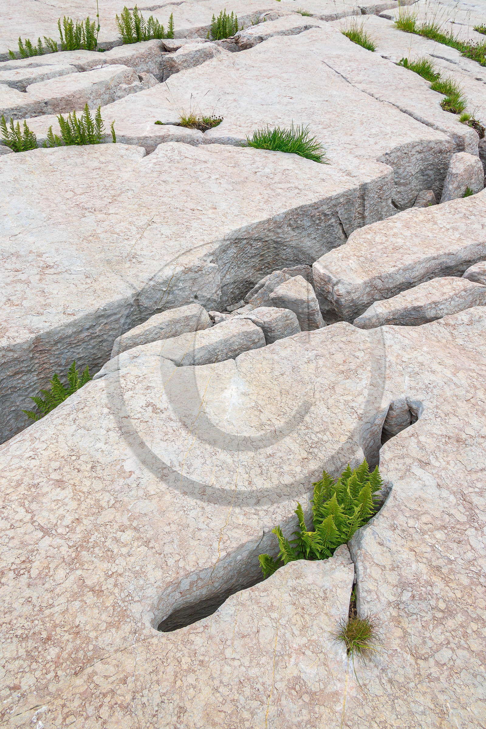 Les Oucanes de Chabrières