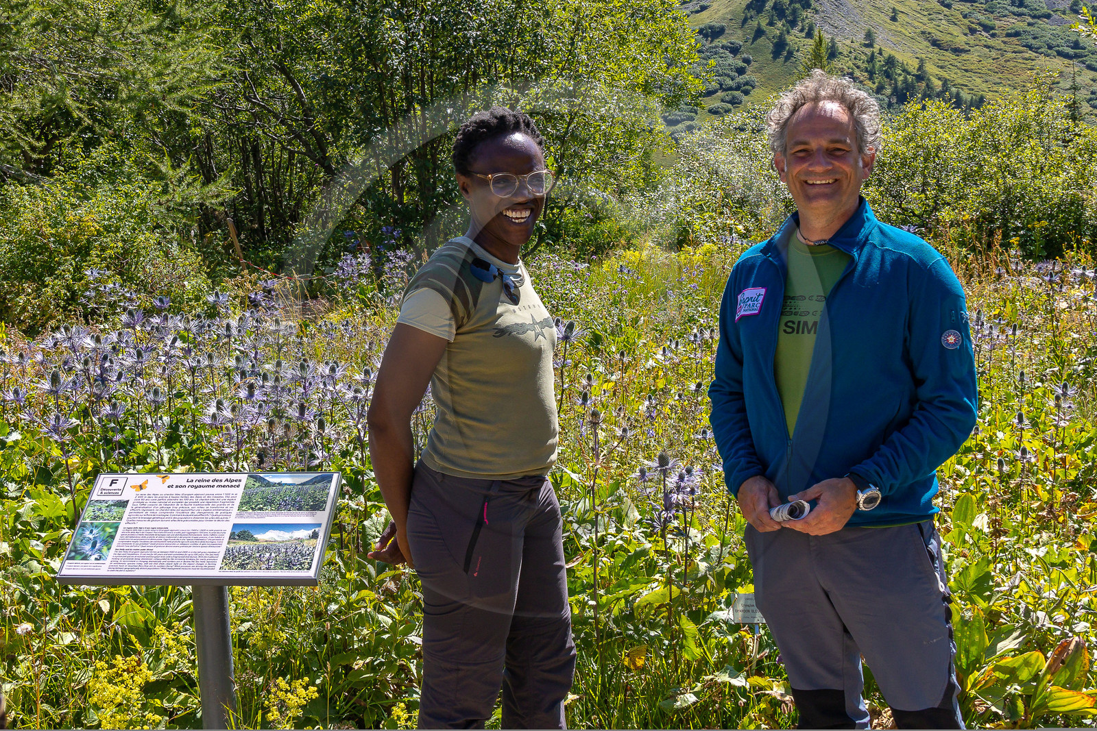 Jardin alpin du Lautaret
