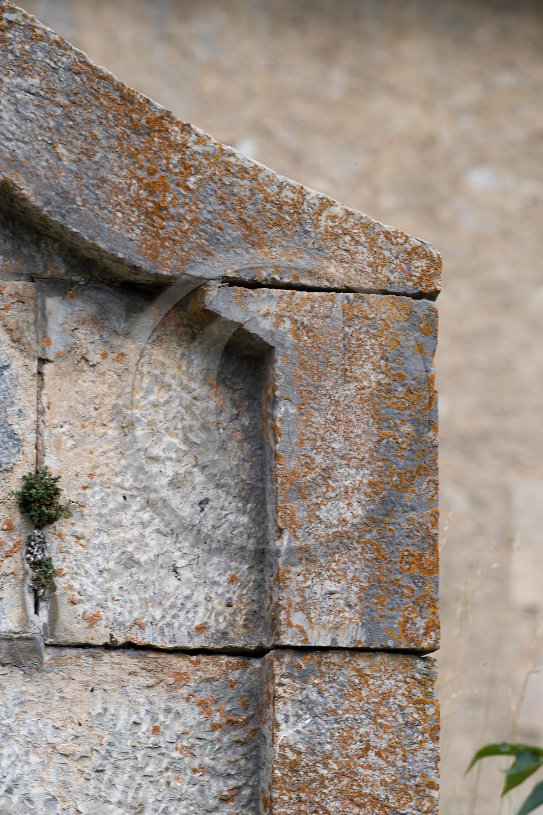 Briançon, La Communication Y