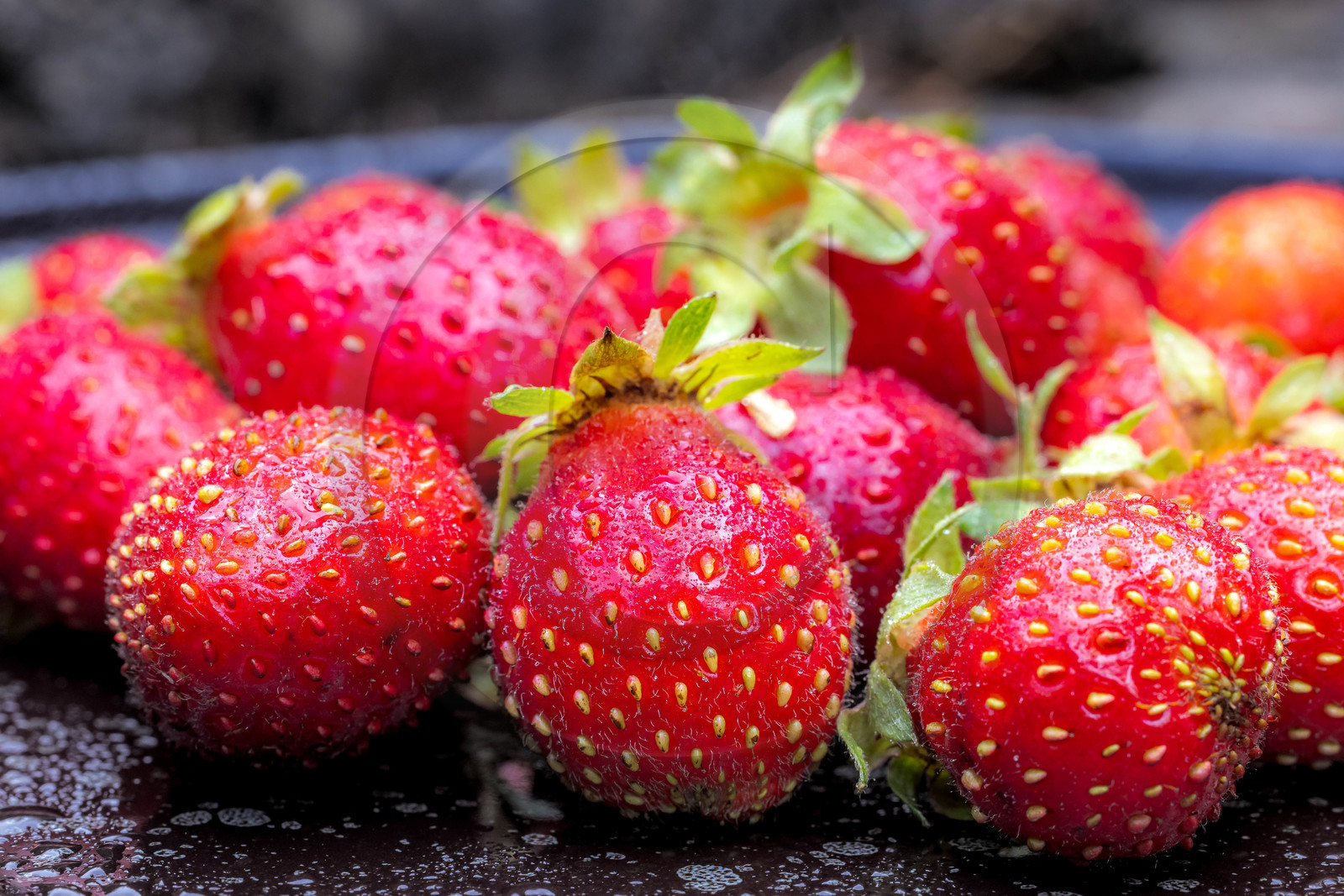 Ecrins de fruits, producteur de fruits rouges
