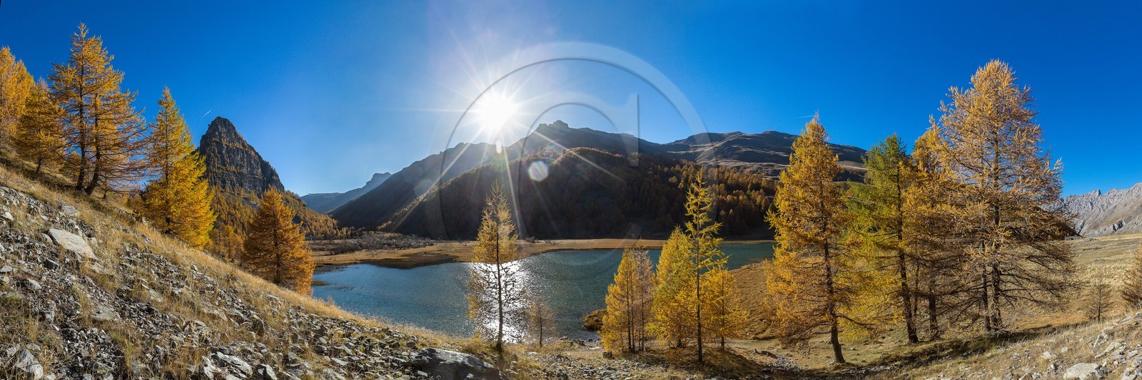 Jausiers, Lac des Sagnes et forêt de mélèzes à l'automne