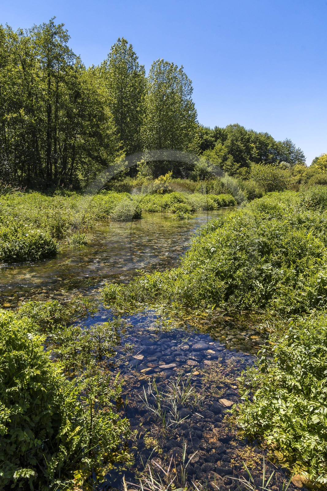 ENS de l'Isère, Les Fontaines de Beaufort