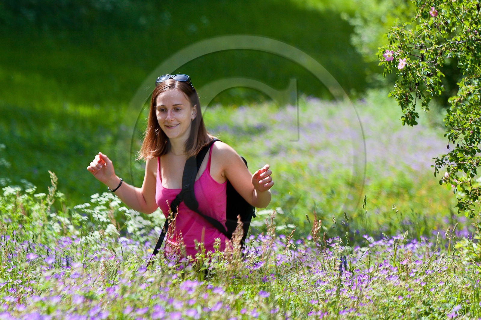 Randonnée champêtre