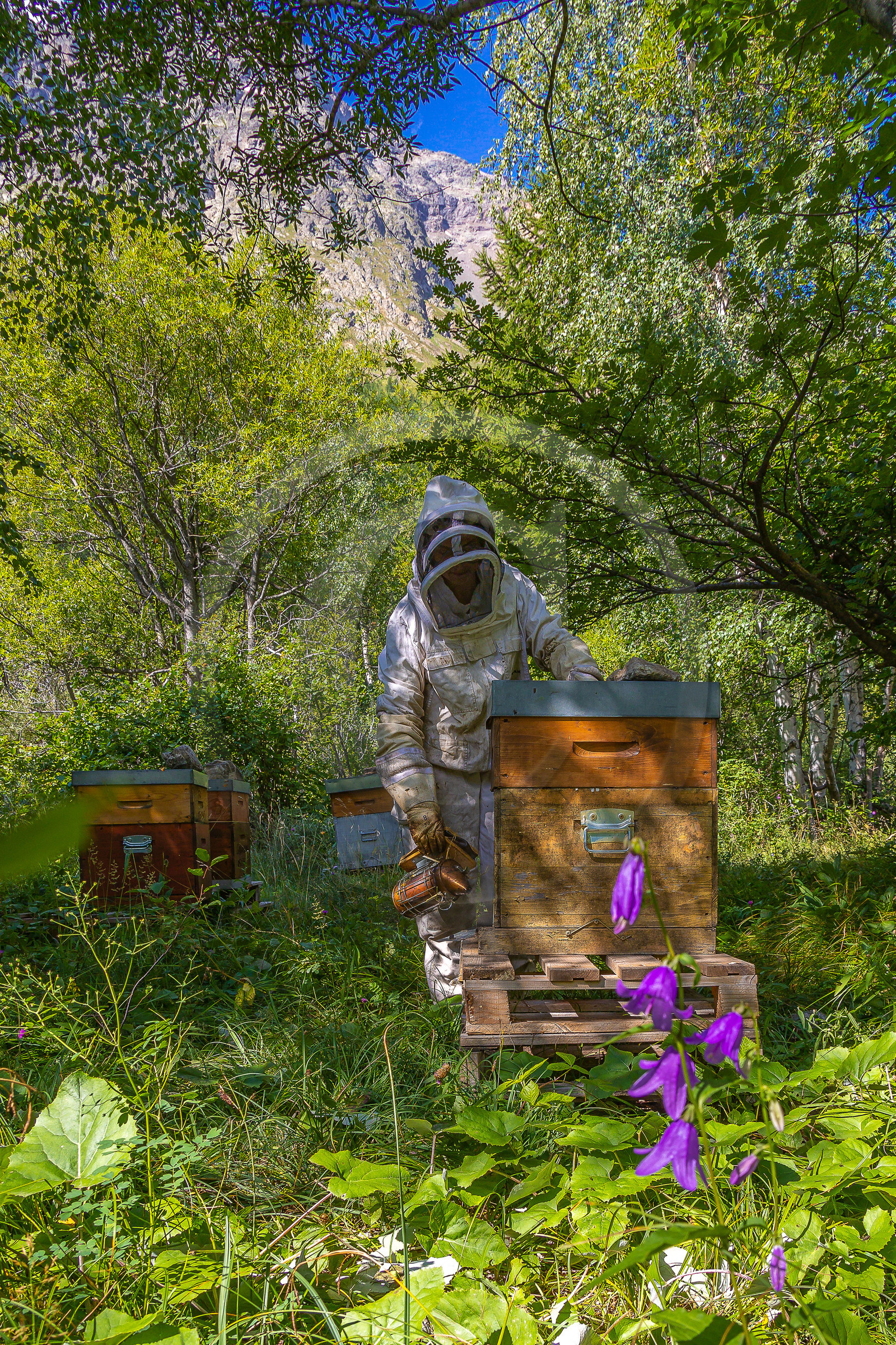 La miellerie du Lauzet