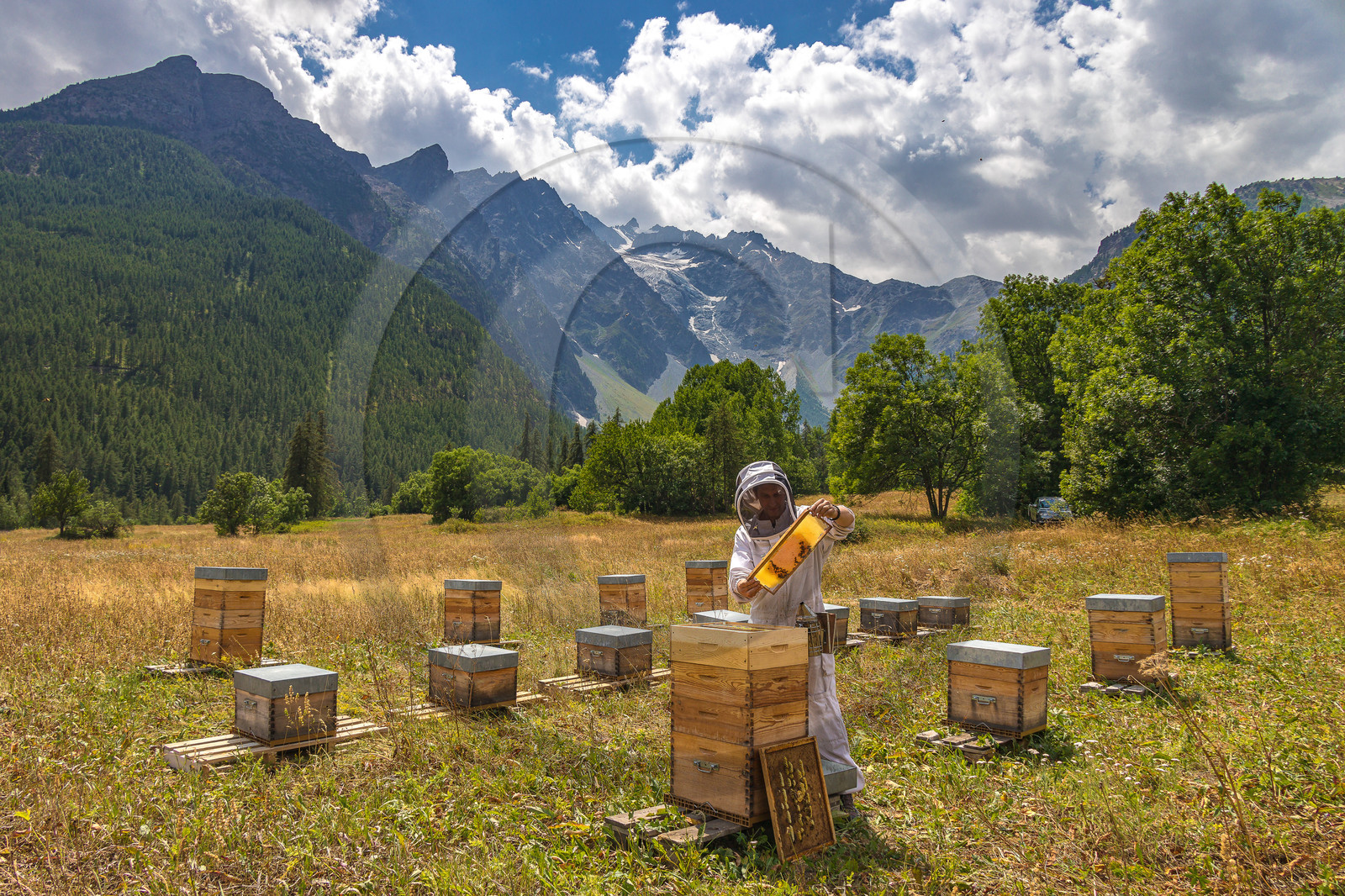 Miellerie de Serre Chevalier