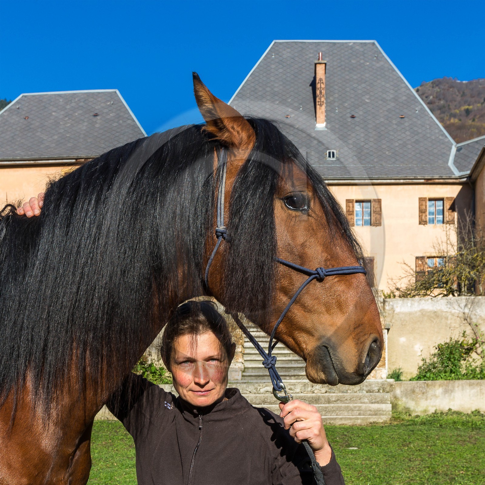 Valbonnais; Chateau Galvin, Haras du Don, Yelena Dovergne