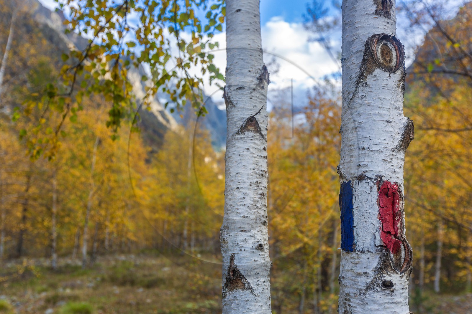 Vallée de la Bonne, village Le Désert