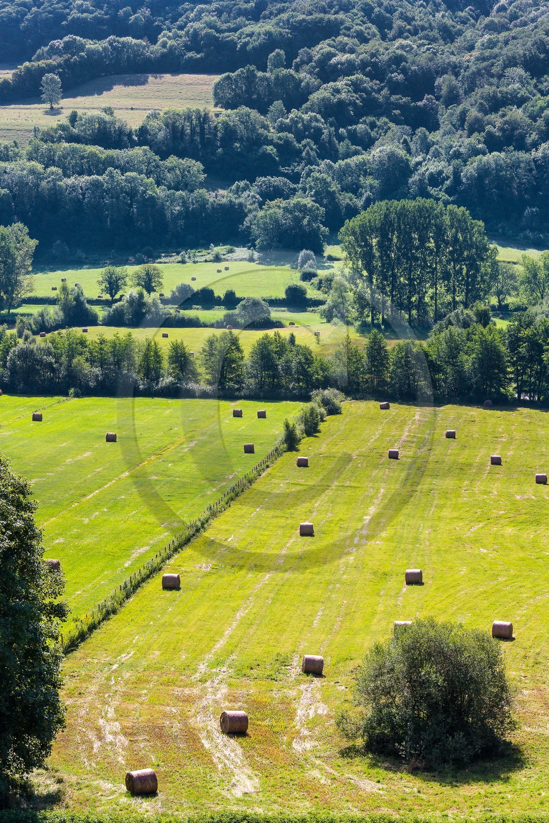 ENS de l'Isère, Marais de Chirens