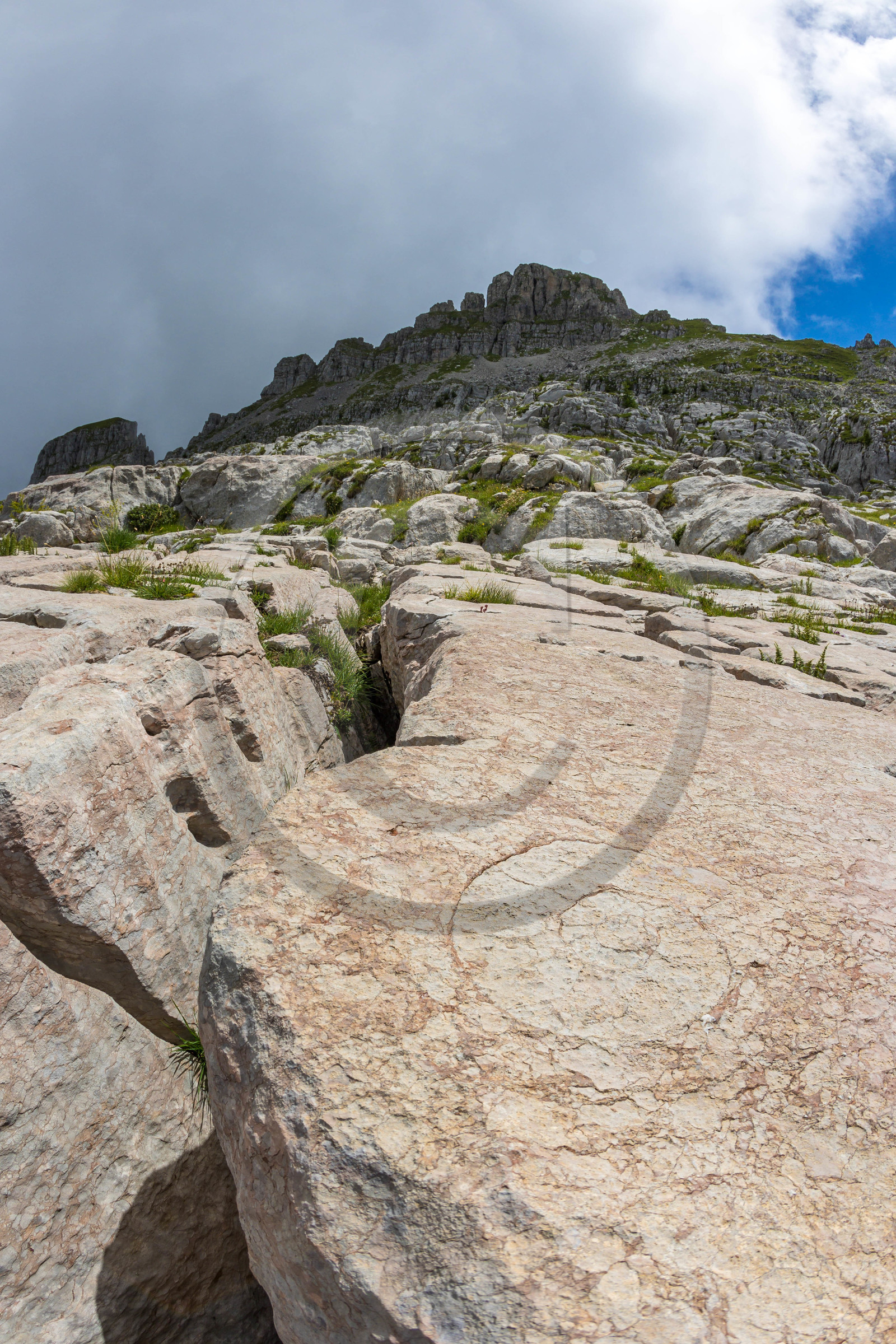 Ammonites aux Oucanes de Chabrières