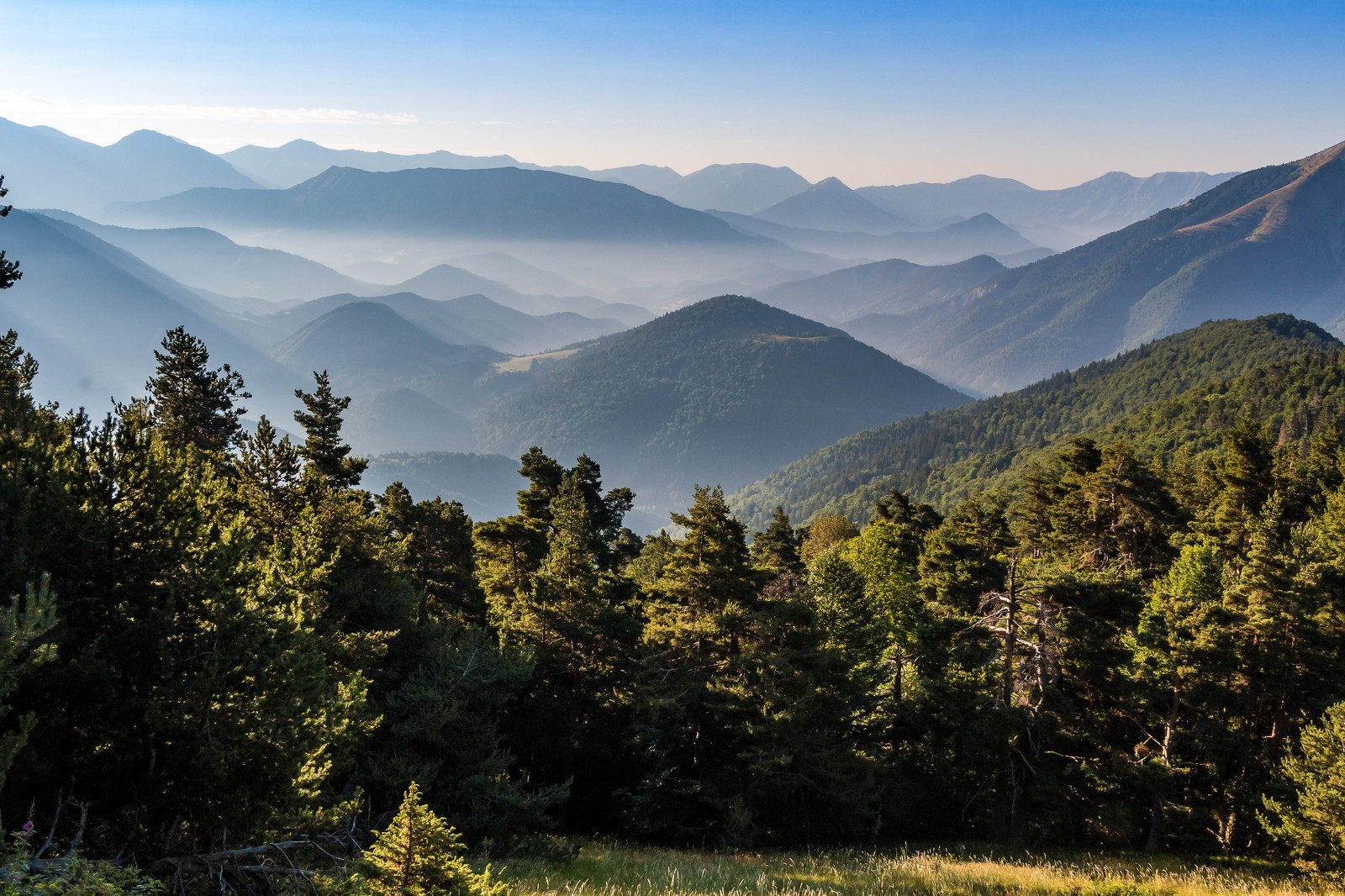 Montagne du Gau, bois de la Pinée