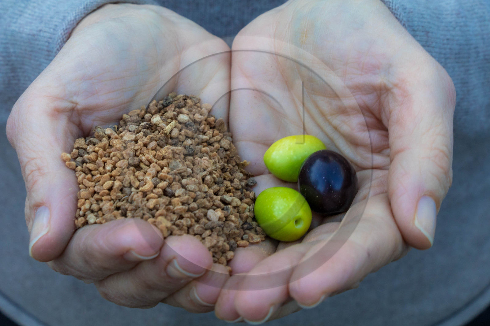 Moulin Jean-Marie Cornille