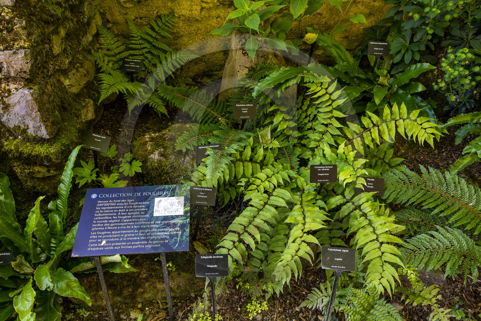 Jardin des Cinq Sens