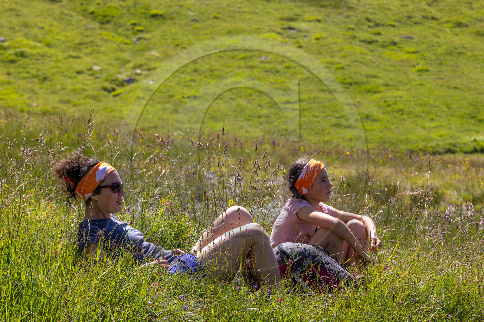 Trek famille avec animaux de bats