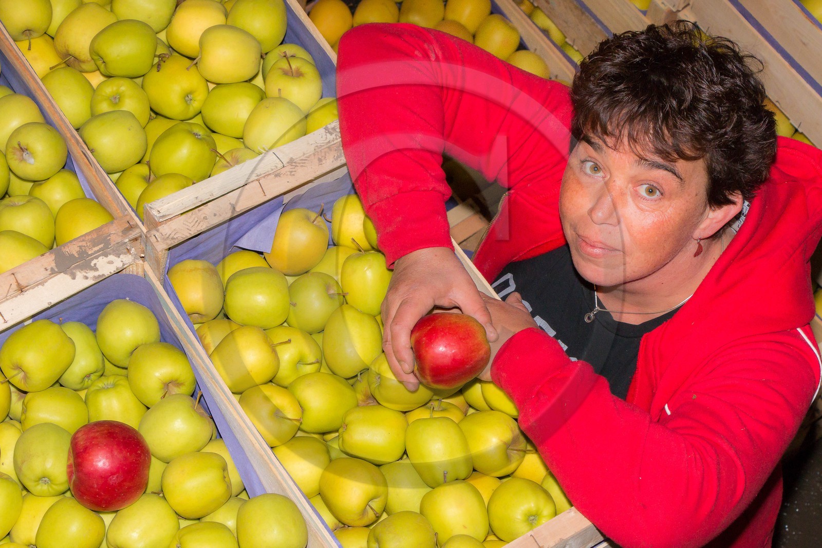 Noëlle et Franck Jacob, producteurs de fruits