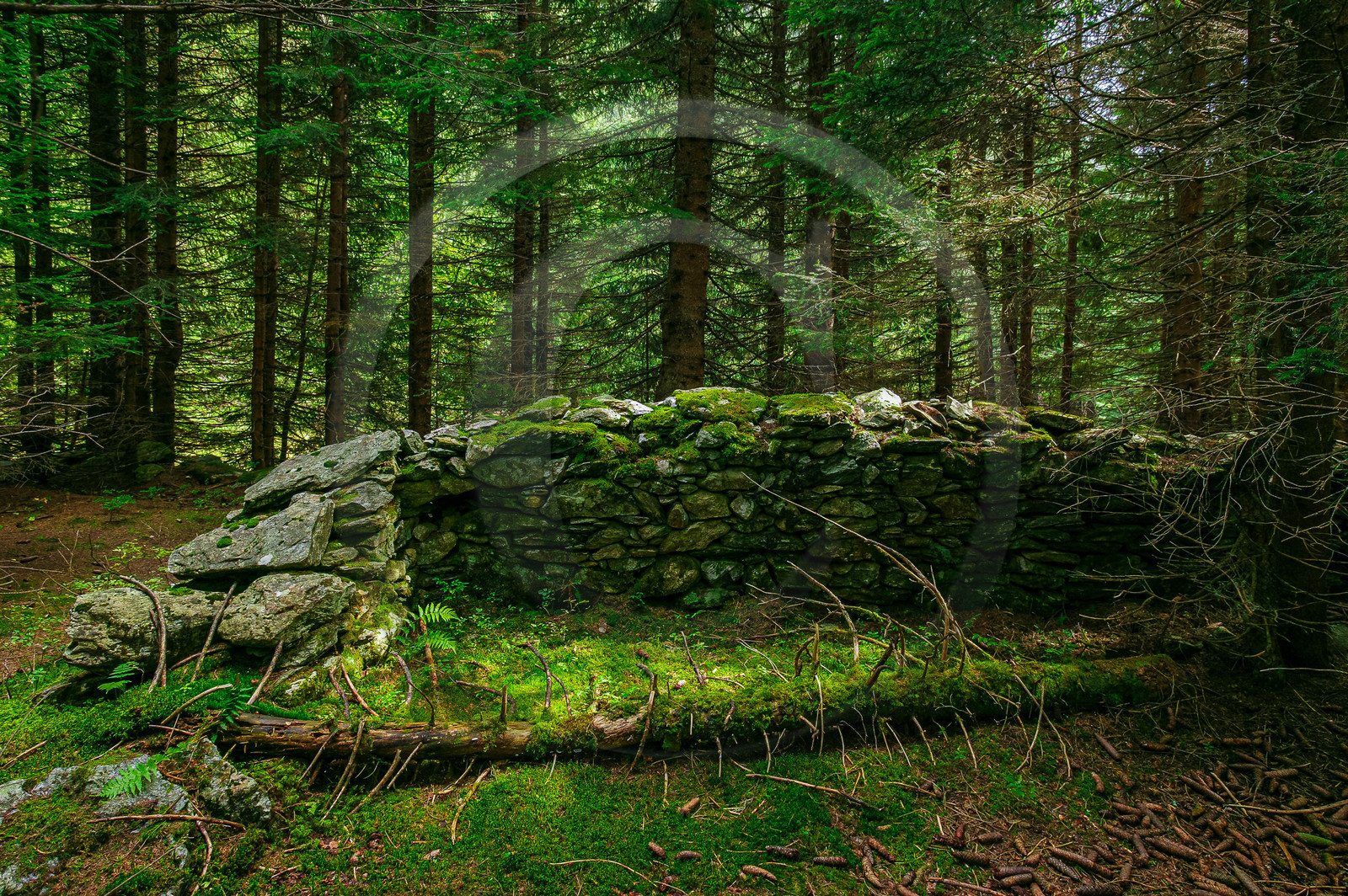 Ruines, vieux mur en pierre sèche