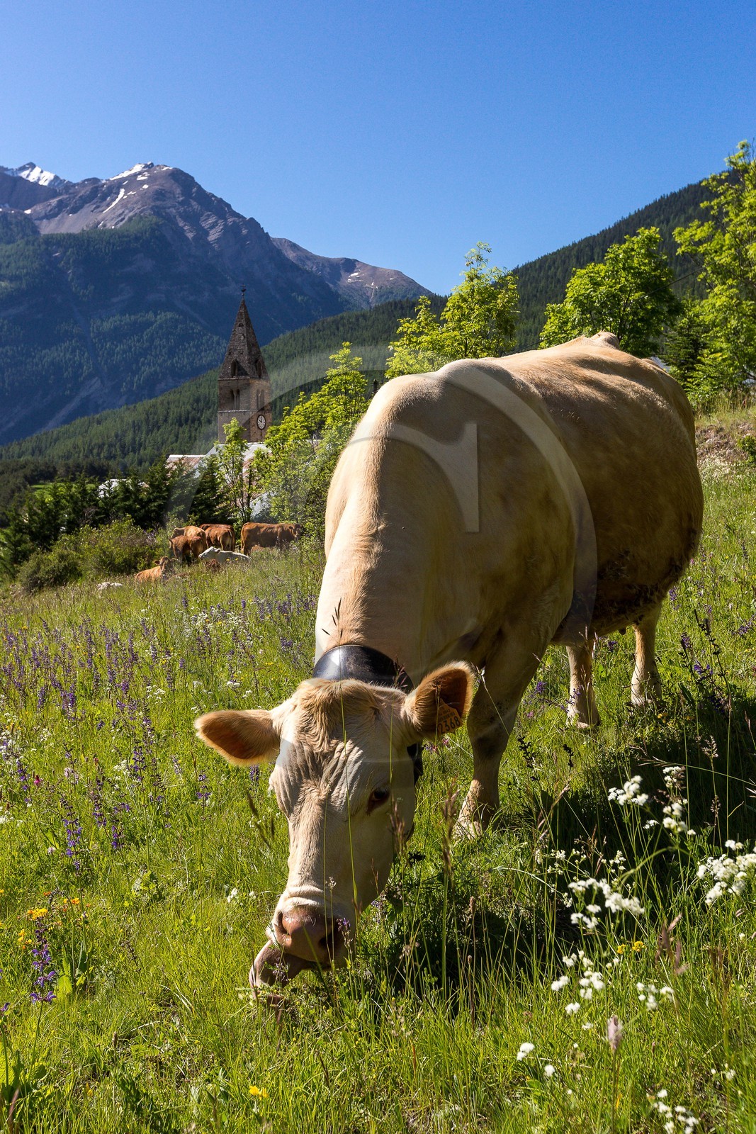 Saint-Paul-sur-Ubaye, hameau de Tournoux