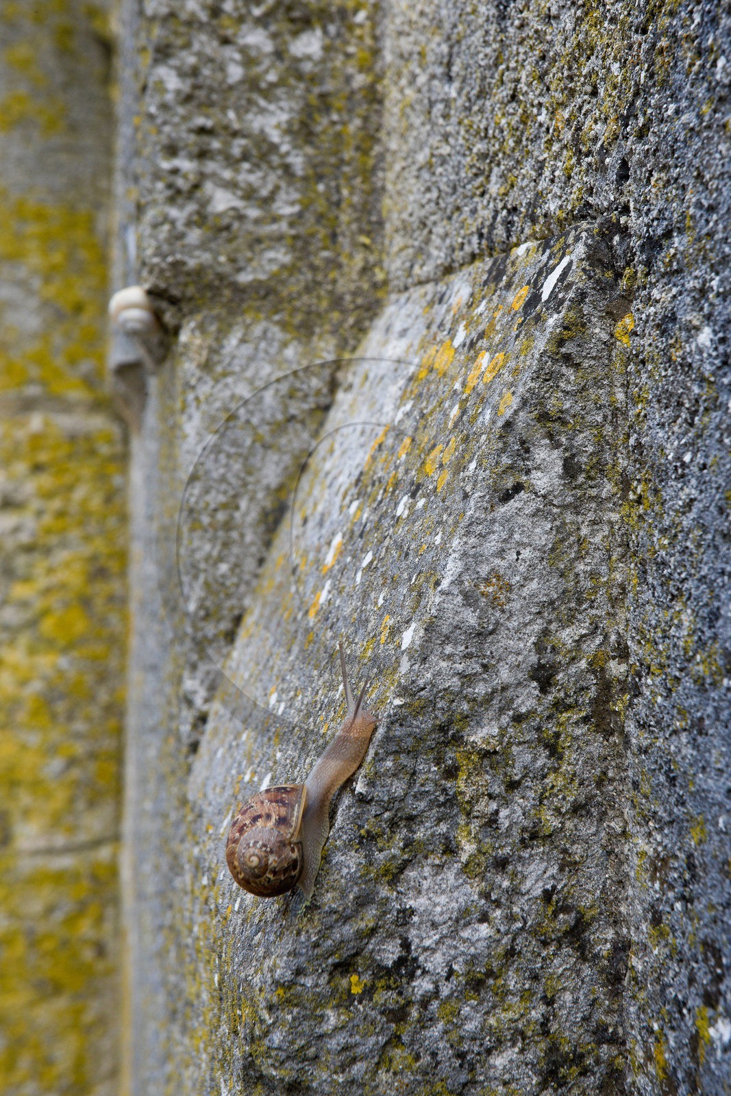 Saint-Martin-de-Ré, Fortifications Vauban inscrites au patrimoi
