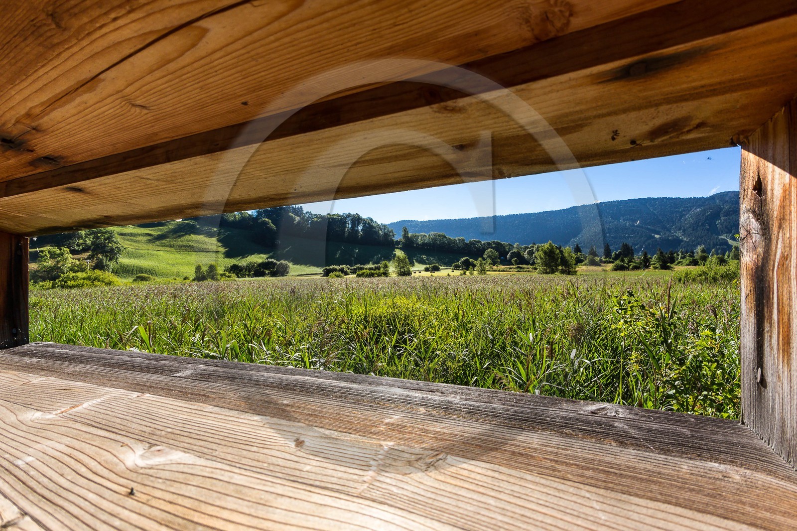ENS de l'Isère, Marais des Sagnes
