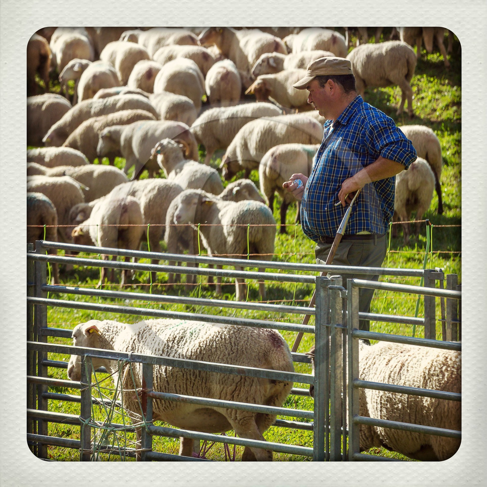 Le Désert, désenmontagnage