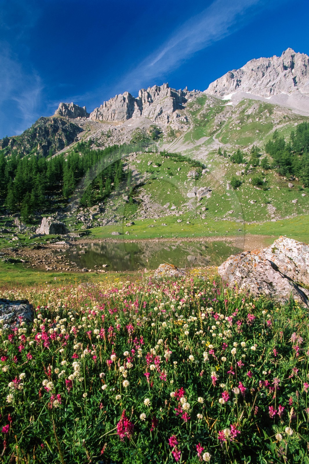 lac des Partias