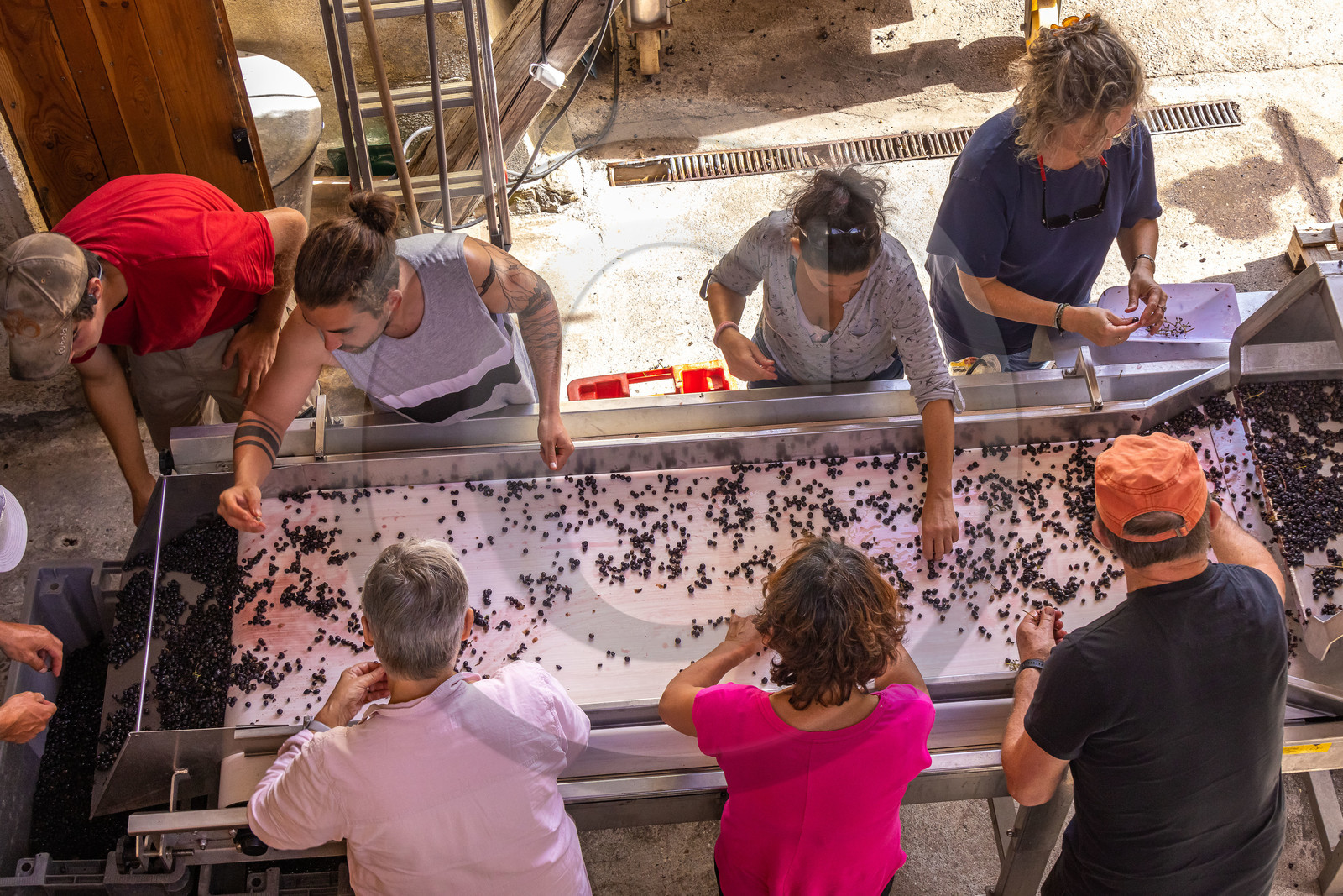 Domaine du Mont Guillaume