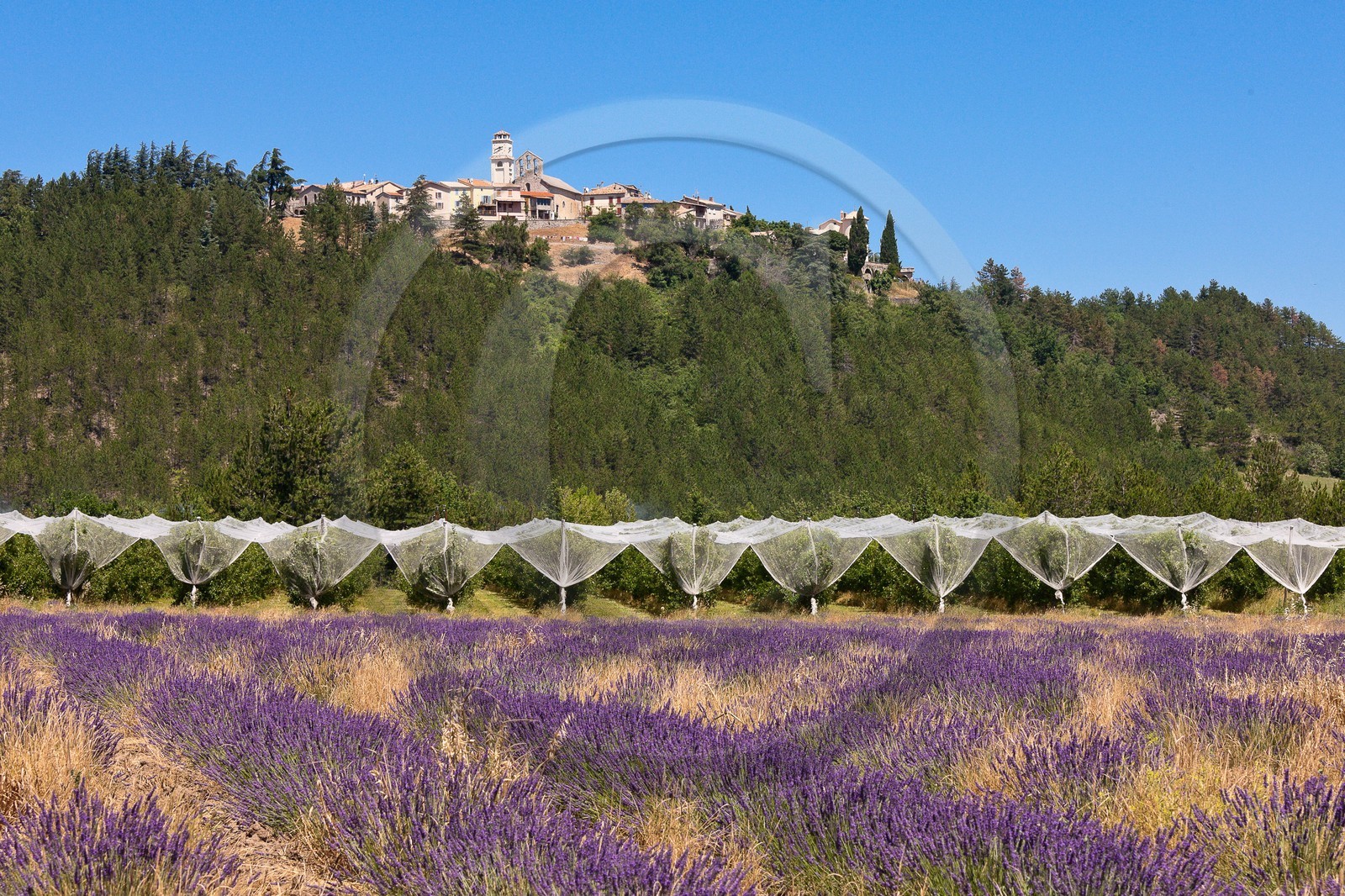 Village perché de Ventavon