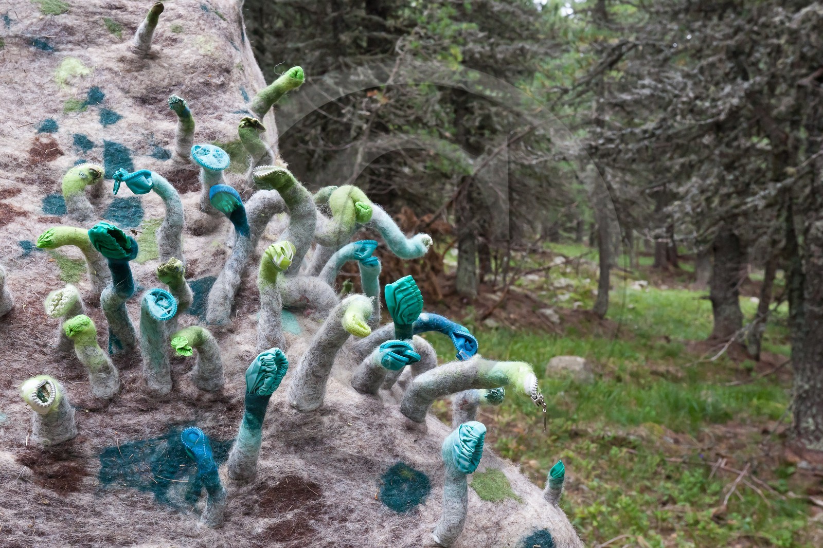 Sentiers Art et Nature Queyras et Val Varaita, Stéphanie Cailleau