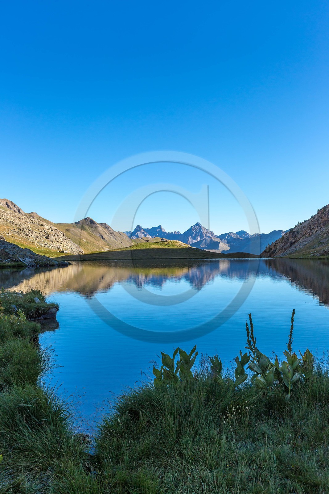 col de Larche, Lac du Lauzanier