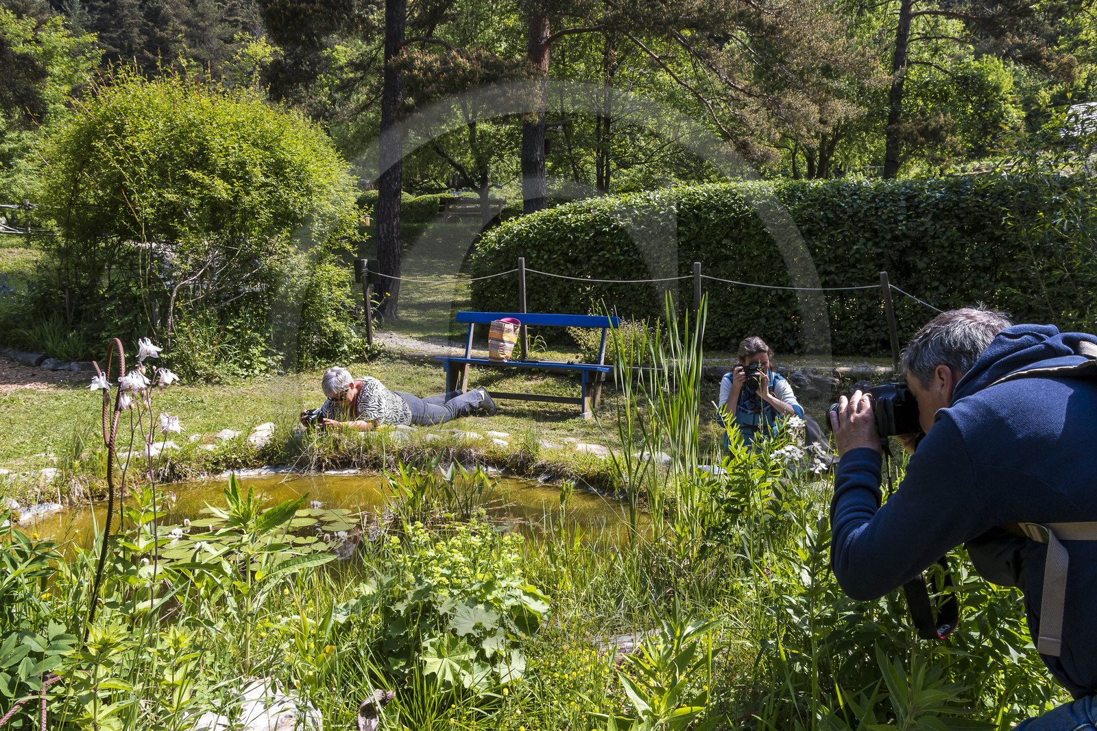 Terre Vivante, stage photo macro nature avec le photographe professionnel Bertrand Bodin
