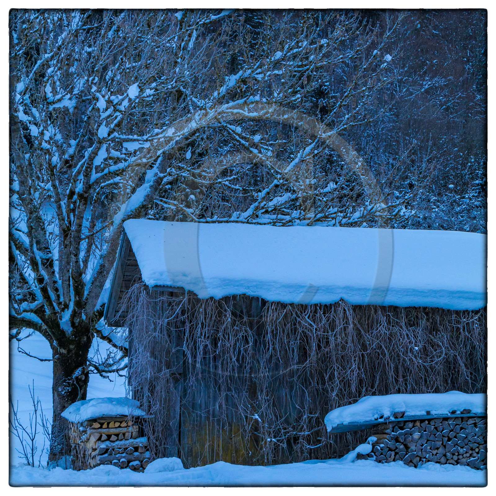 Le Grand Bornand, Les Plans