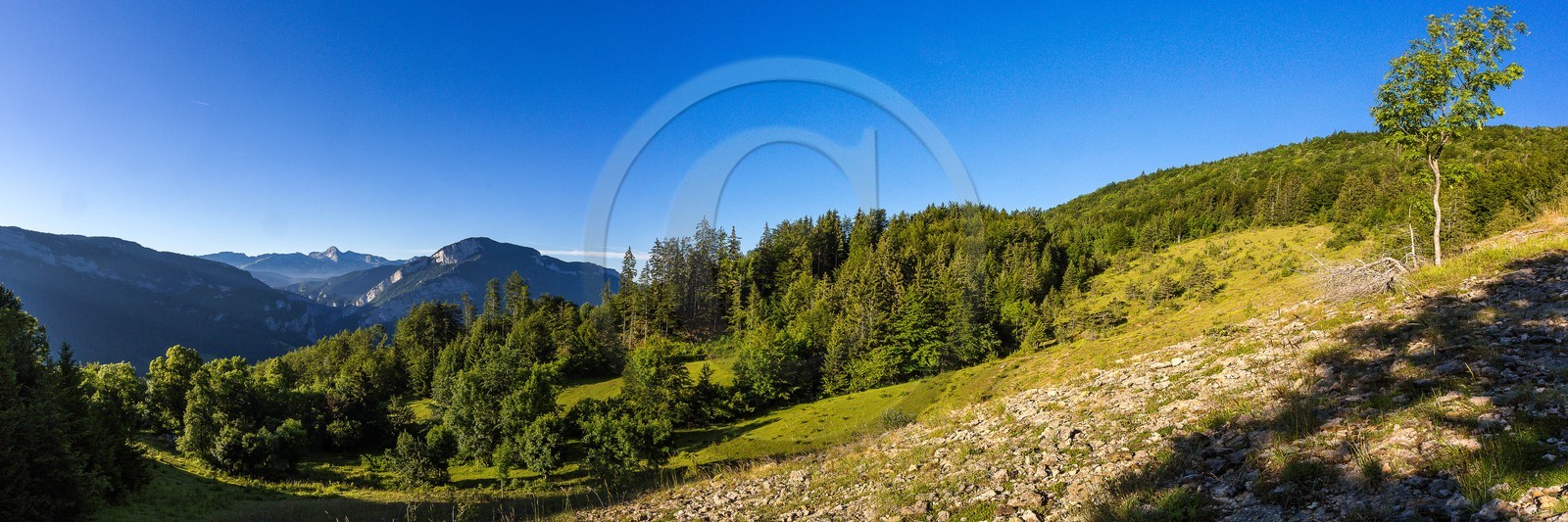 ENS de l'Isère, vallée fossile des Rimets