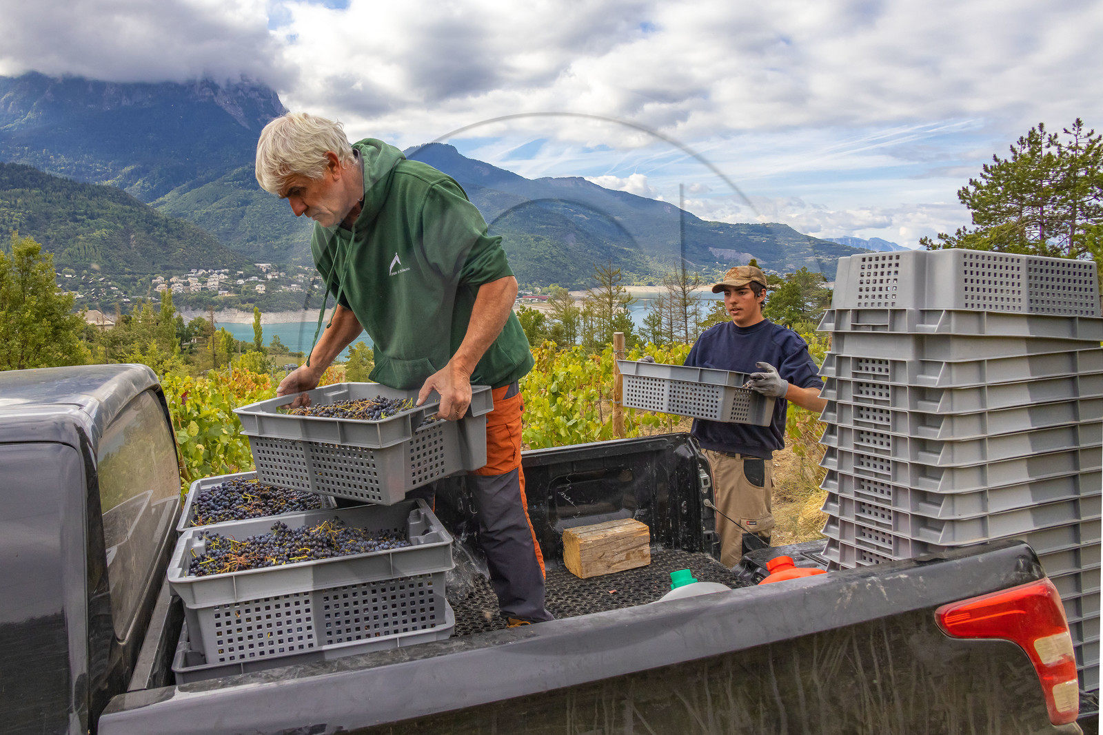 Domaine du Mont Guillaume