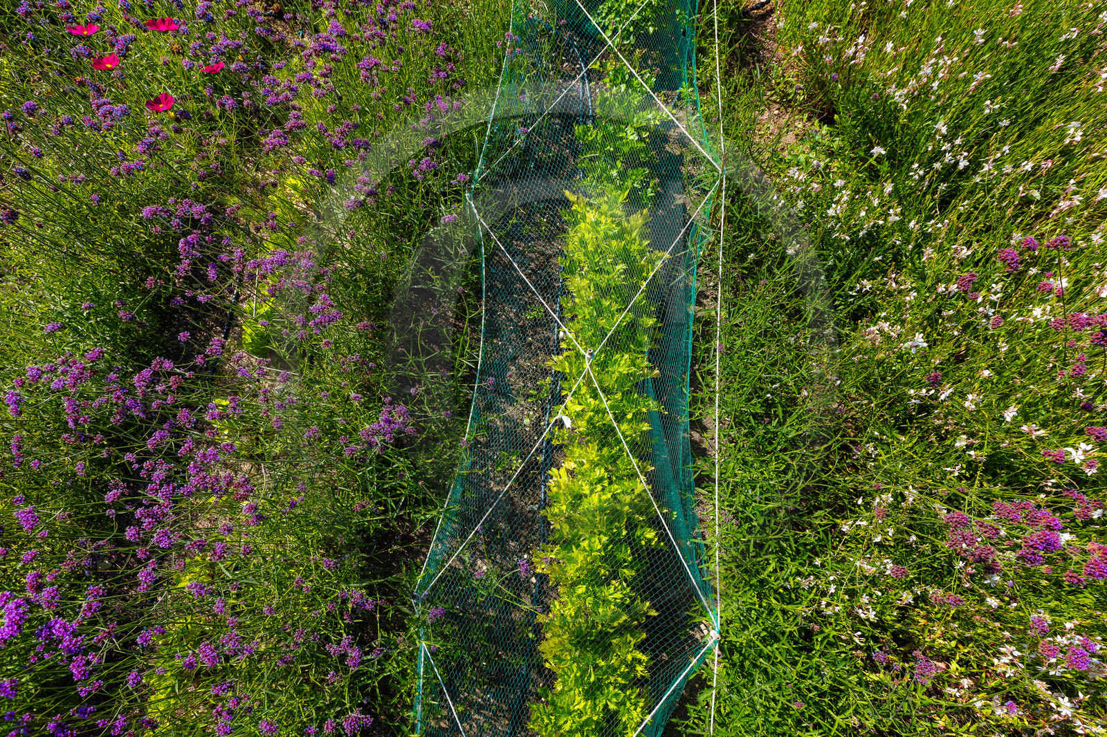 Parc écologique Terre Vivante