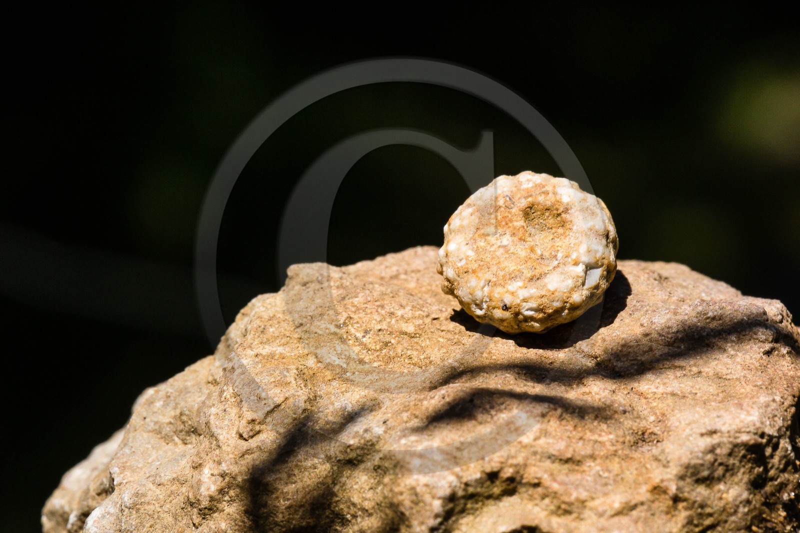 ENS de l'Isère, vallée fossile des Rimets
