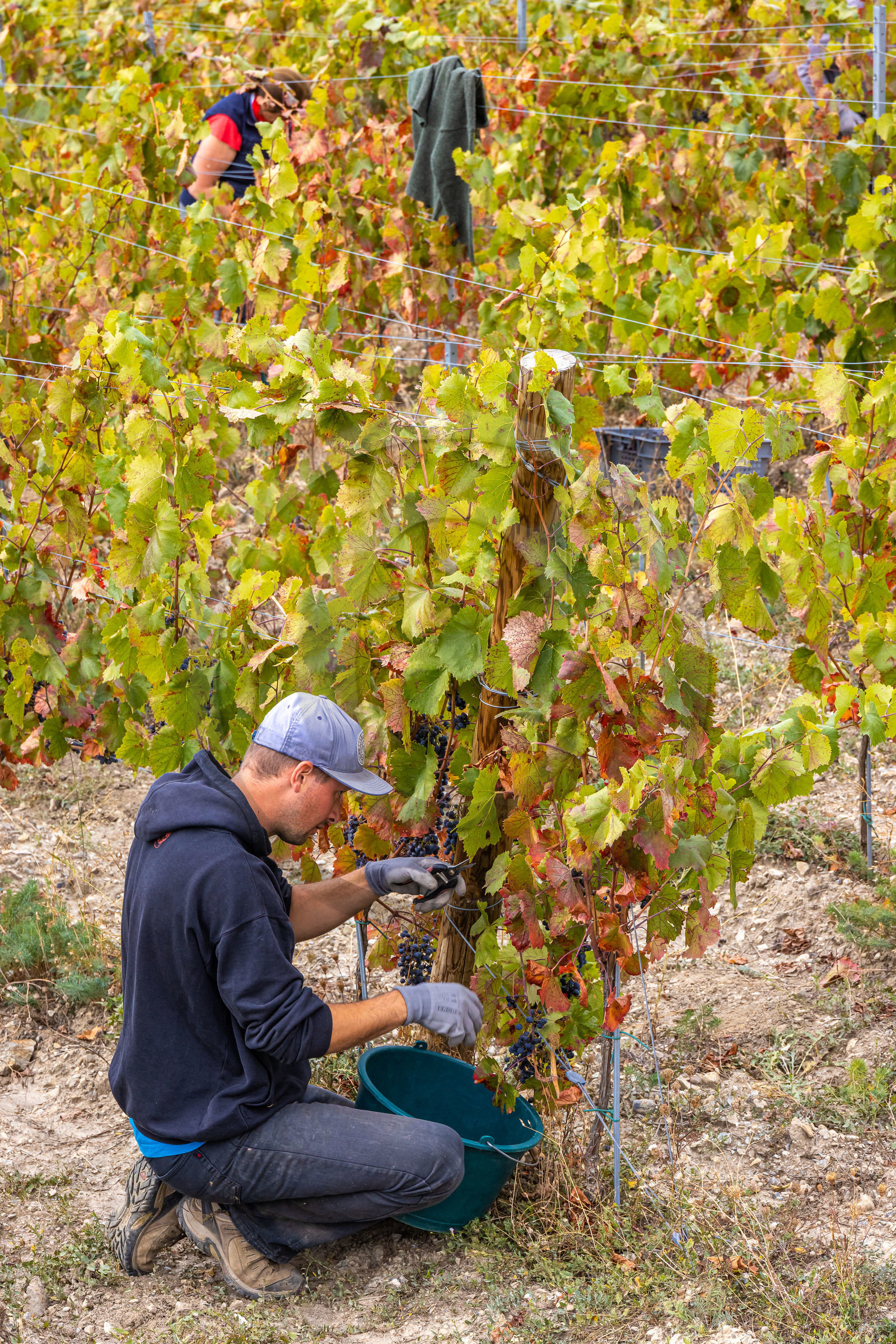 Domaine du Mont Guillaume