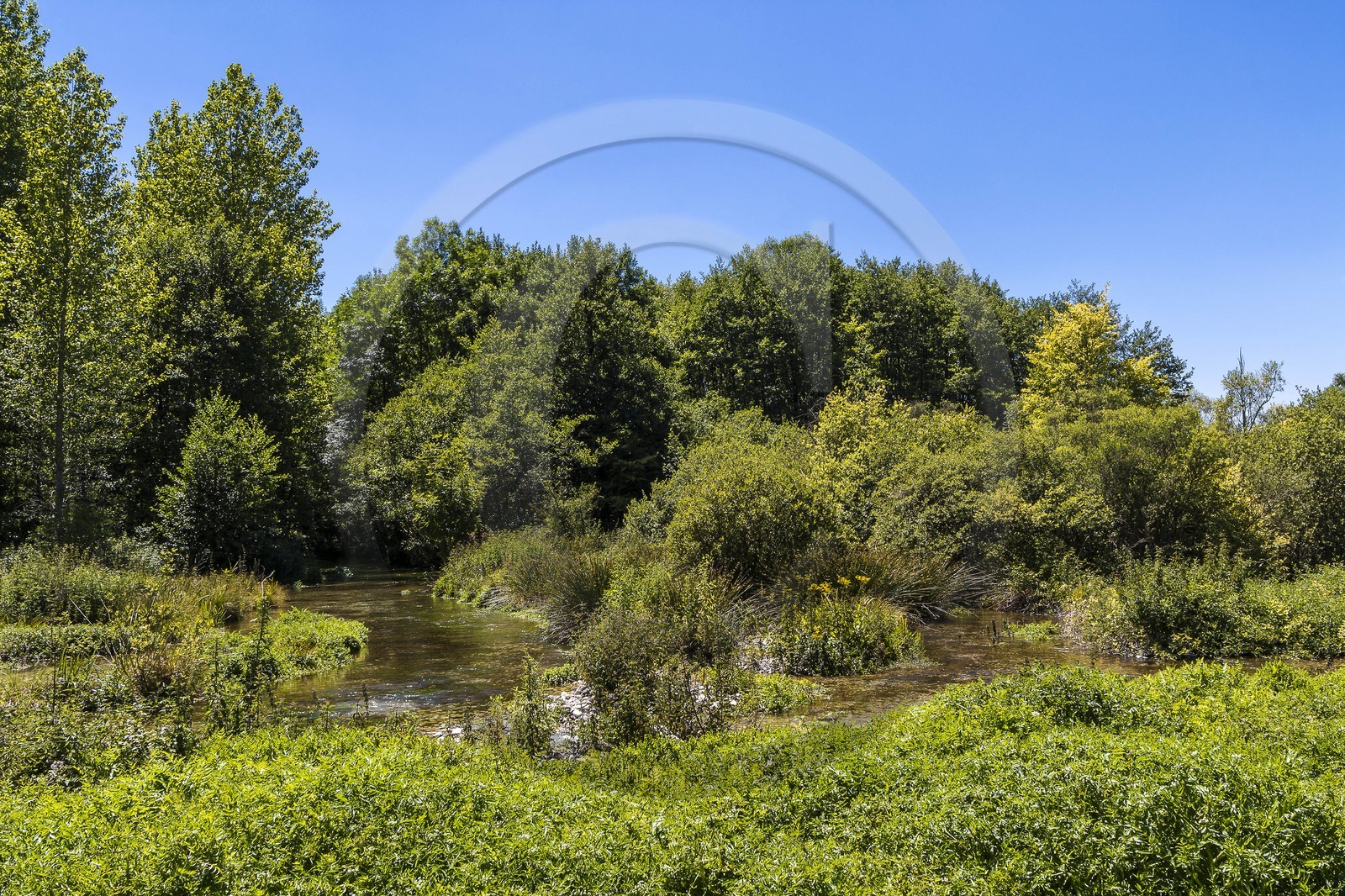 ENS de l'Isère, Les Fontaines de Beaufort