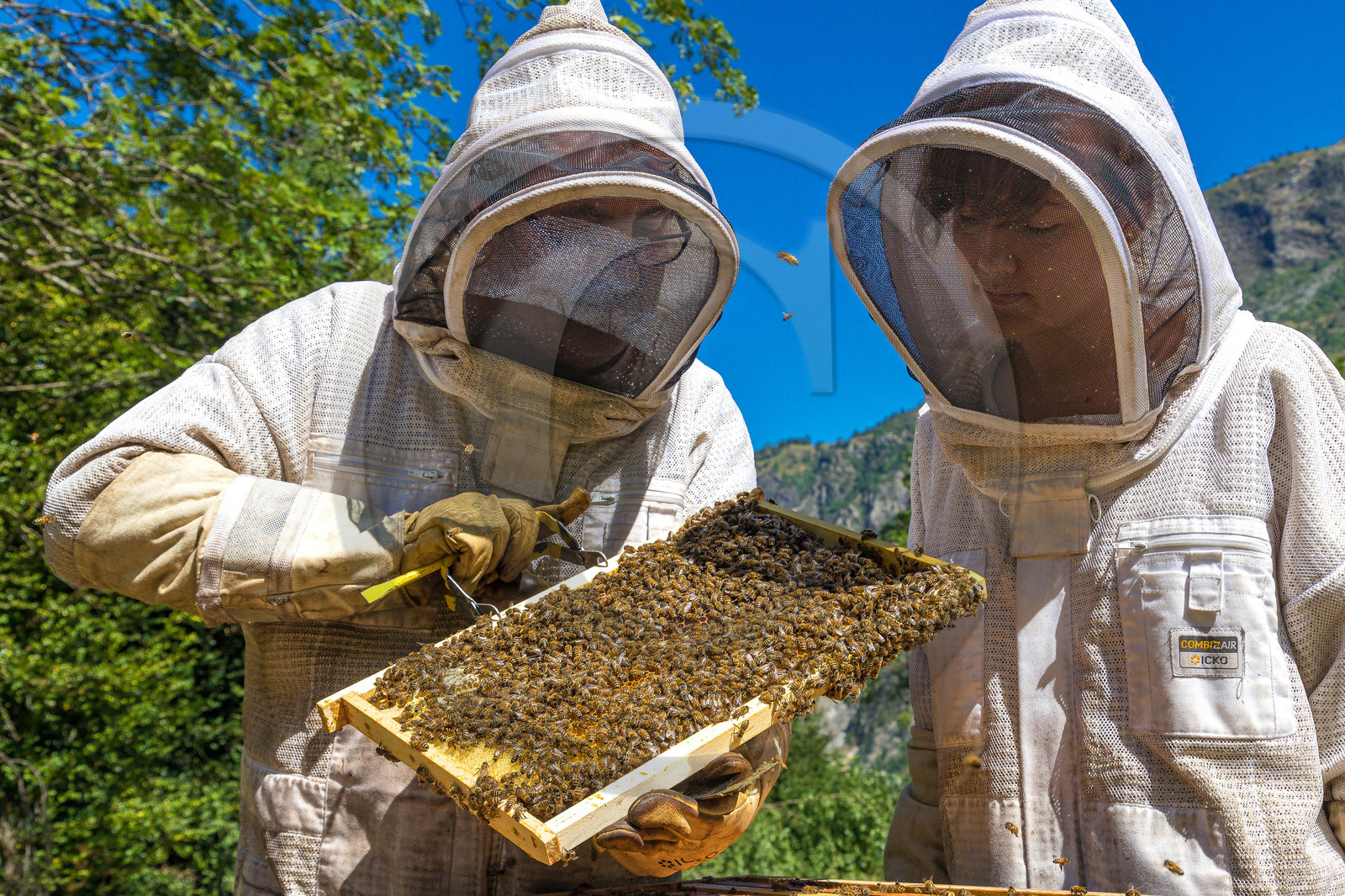 Margaux and Didier Pissard, beekeepers