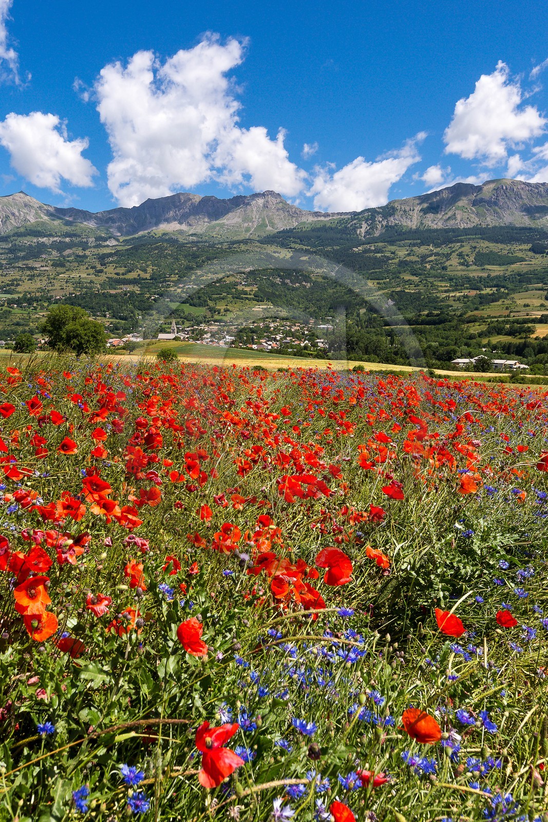 Pays de Serre-Ponçon, village de Chorges